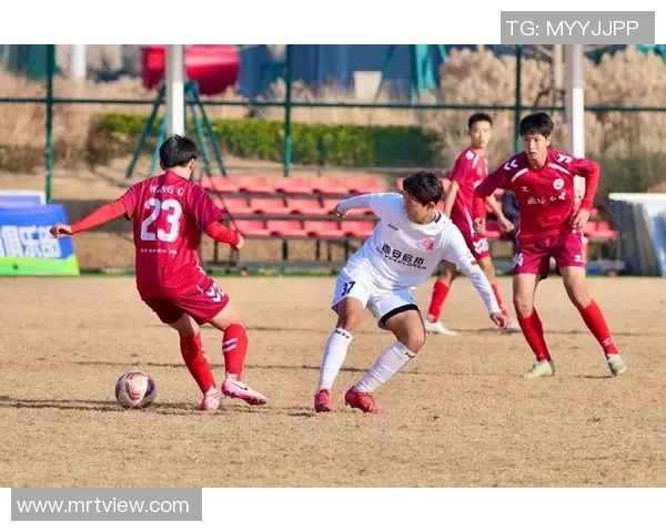 雁塔区足球热潮兴起青少年培训与社区联赛助力发展新篇章